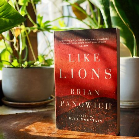 Like Lions