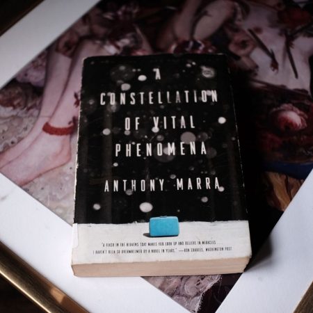 A Constellation of Vital Phenomena