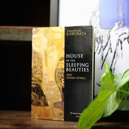 House of the Sleeping Beauties