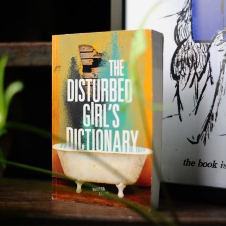 The Disturbed Girls Dictionary