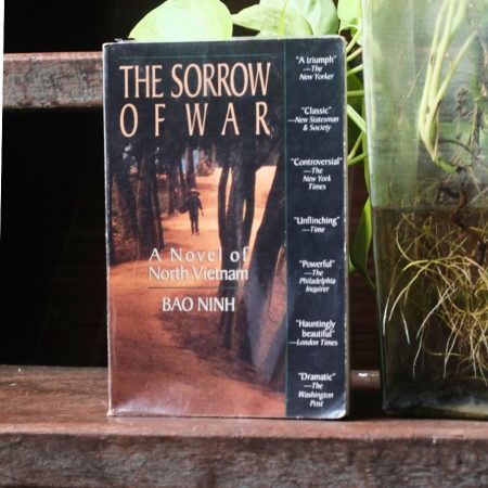 The Sorrow of War