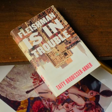 Fleishman is in Trouble (Hardcover)