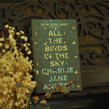 All the Birds in the Sky (Hardcover)