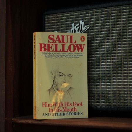 Him with His Foot in His Mouth and Other Stories
