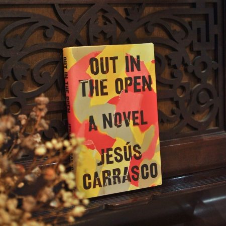 Out in the Open (Hardcover)