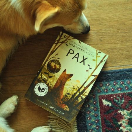 Pax (French Flaps)