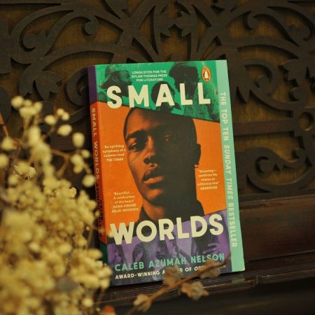 Small Worlds