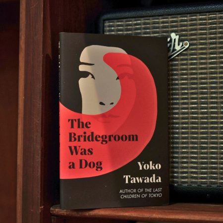 The Bridegroom was a Dog (Hardcover)