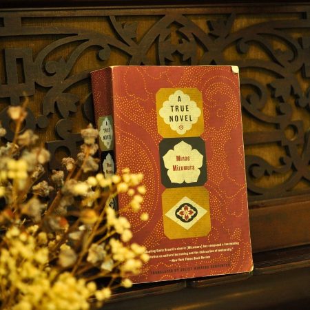 A True Novel (Trade Paperback)