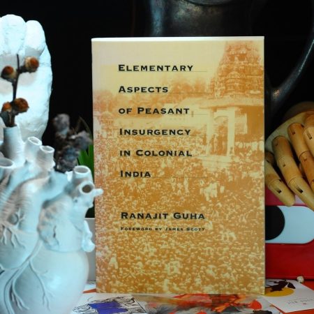 Elementary Aspects of Peasant Insurgency in Colonial India (Foreword by James Scott)