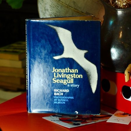 Jonathan Livingston Seagull (Hardcover)
