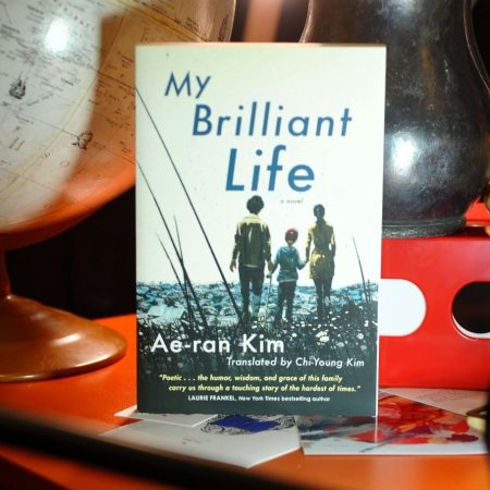My Brilliant Life (Trade Paperback)