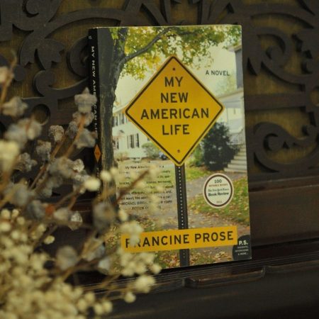My New American Life