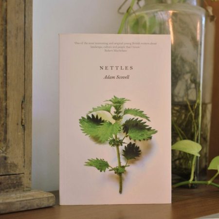Nettles (French Flaps)