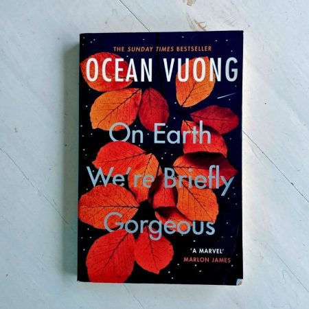 On Earth We're Briefly Gorgeous