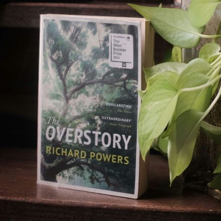 The Overstory
