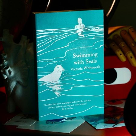 Swimming with Seals