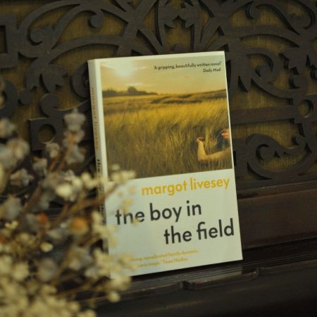 The Boy in the Field