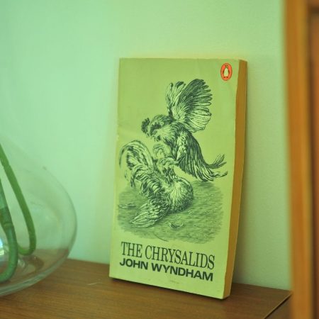The Chrysalids