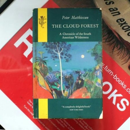 The Cloud Forest