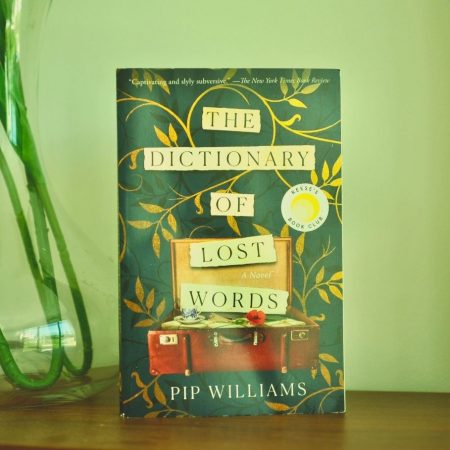 The Dictionary of Lost Words