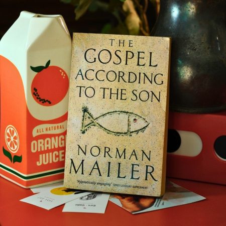 The Gospel According to the Son