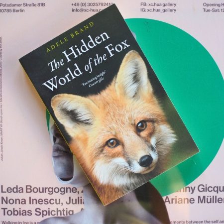 The Hidden World of the Fox