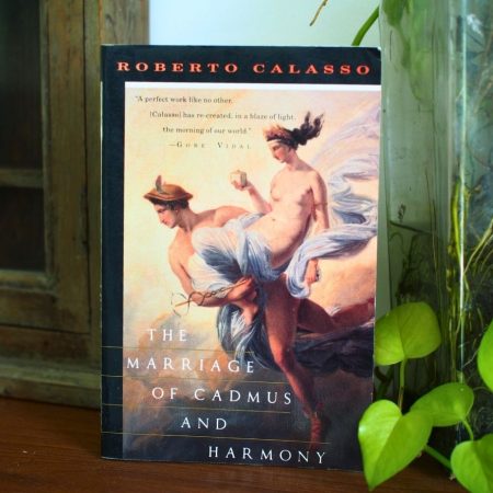 The Marriage of Cadmus and Harmony