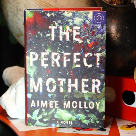 The Perfect Mother