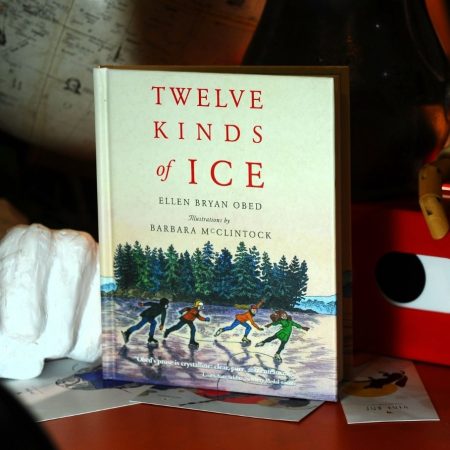 Twelve Kinds of Ice (Hardcover)