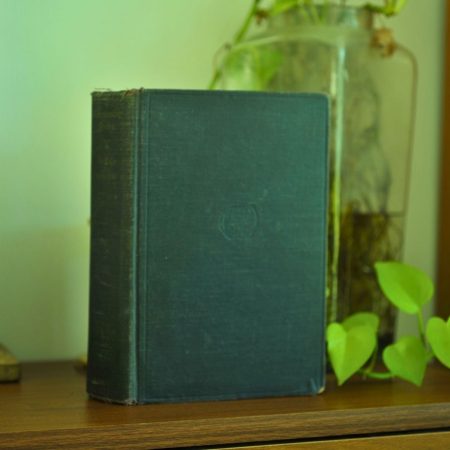 Understanding Poetry (Rare Book)