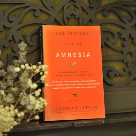 The Vintage Book of Amnesia