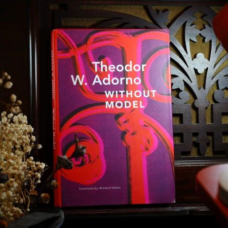 Without Model (Hardcover)